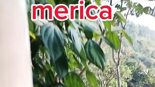 Metik buah merica