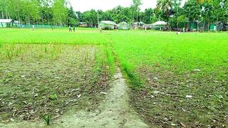 Village Cricket 2