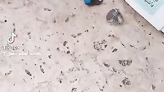 لخاتم الروحاني #الخاتم_الروحاني