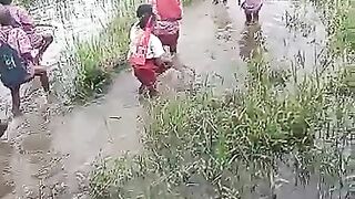 Anak-anak sekolah di pedalaman papua