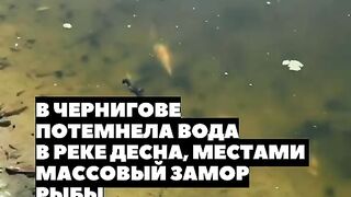 ЧЕСТНО НЮЗ 107