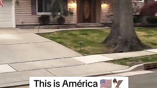Usa new video 2024