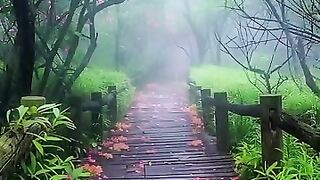 Indian songs 33