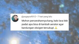 Kalau larva lele KEPADATAN apa bisa di tambah AERATOR agar kandungan OKSIGEN tercukupi