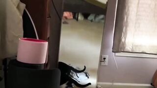 Cat vs mirror