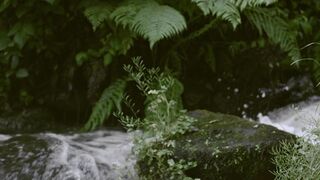 This water fall