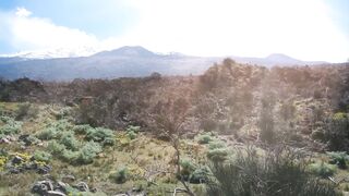 beautiful view in the afternoon 2