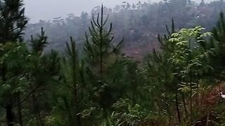 Pesona pedesaan atau pegunungan