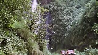 JURASSIC PARK CLIP COMPILATION (1993) Steven Spielberg, Sci-Fi