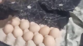 Beautiful eggs