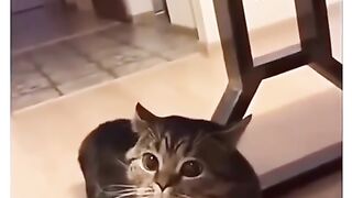 Eu cagueiummm ????????????