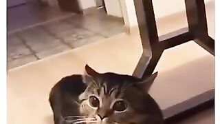 Eu caguei ????????????????
