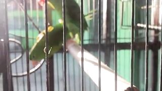 Gagal Total! Momen Lucu Saat Coba Tantangan Viral
