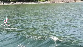 Sedang bermain speedboat
