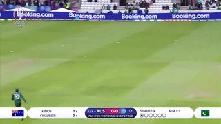 RARE. Extended highlights of Akram's brilliant 11 wicket performance vs Aust 1st Test MCG January 90 2