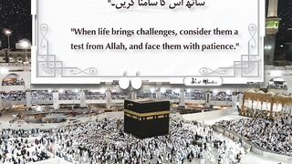 Best Quotes #shortsviral #surah #shorts #short #shortvideo #shortsfeed #shortsyoutube #shortsbeta 7