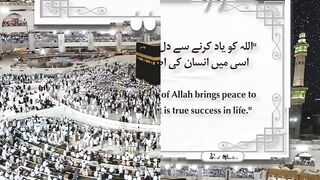Best Quotes #shortsviral #surah #shorts #short #shortvideo #shortsfeed #shortsyoutube #shortsbeta 8