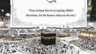 Best Quotes #shortsviral #surah #shorts #short #shortvideo #shortsfeed #shortsyoutube #shortsbeta 9