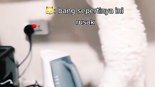Kucing mekanik nih boss
