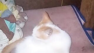 Cat lagi sedih