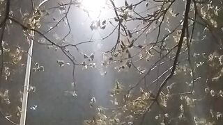 Mentahan video 2