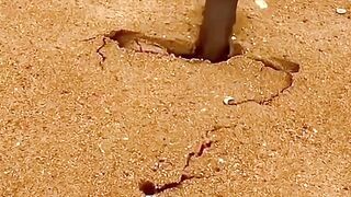 Treasure in the sand