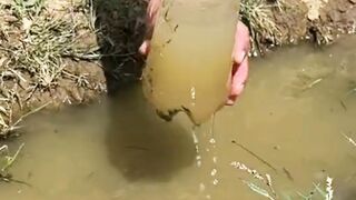 Trick for in the middle forest