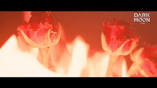 DARK MOON THE BLOOD ALTAR ENHYPEN's Story