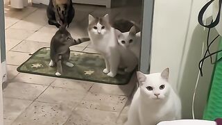 Kira kira apa yang mereka pikirkan yah