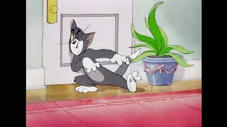 how to enjoy tom and jerry their life