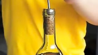 Tik tok#आखिर_ढक्कन_को_कैसे_निकाला_????????~mini_wood_toy_wood_working_art_skills_hand_craft_ideas_