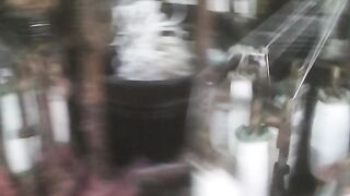 Waqas777 dori karkhana