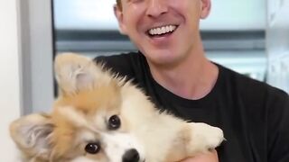 When you take new pet at home ???????? ,your dog says!!!