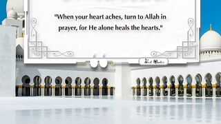 Best Quotes #shortsviral #surah #shorts #short #shortvideo #shortsfeed #shortsyoutube #shortsbeta 12