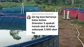 Kolam Bulat D3 di isi 3.800 ekor bibit lele ! Masuk akal atau TIDAK..?