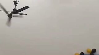 Helicoptar ????????