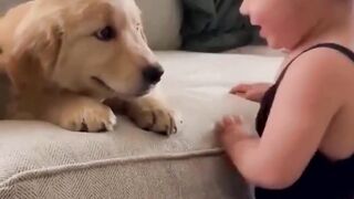 funny animal videos: smile, laugh, best funny short animal videos 2024 5