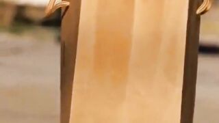 funny animal videos: smile, laugh, best funny short animal videos 2024 6