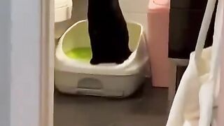funny animal videos: smile, laugh, best funny short animal videos 2024 10