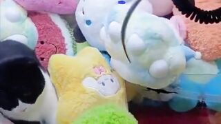 funny animal videos: smile, laugh, best funny short animal videos 2024 22