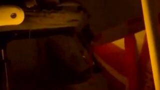 funny animal videos: smile, laugh, best funny short animal videos 2024 25
