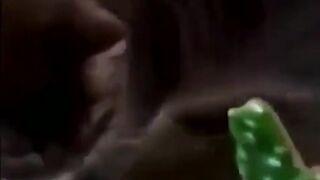 funny animal videos: smile, laugh, best funny short animal videos 2024 39
