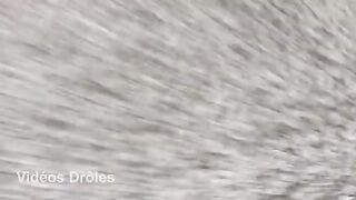 Les drôle moments des enfants qui font du toboggan