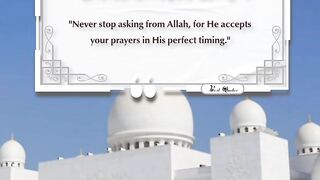 Best Quotes #shorts #shortvideo #shortsfeed #short #shortsviral #quran #video #viralvideo # 4