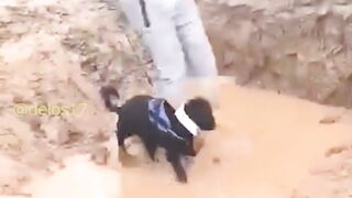 Epic Blunders and Hilarious Fails! Watch These Funny Moments That Will Make Your Day Better!
