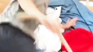 Ultimate Fail Compilation: Watch These Hilarious Blunders That Will Leave You Rolling on the Floor Laughing!