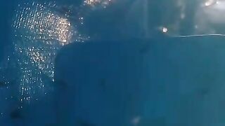 Petang menjelang maghrib biasanya LARVA LELE mulai naik kepermukaan kolam