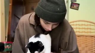funny animal videos: smile, laugh, best funny short animal videos 2024 46