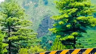 #beautiful #beauty #kpk #kpkbeauty #pakiatan #pakiatanivlog #trending #trendingreels #viralvideo
