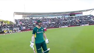 New Brilliant Babar belts ton 2024